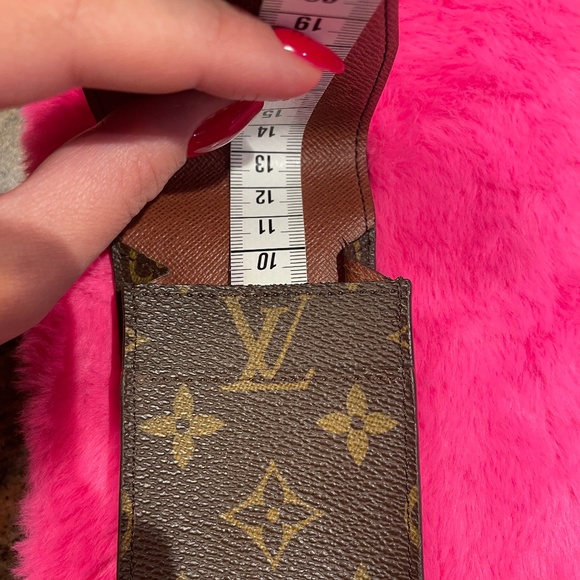 Louis Vitton Case for Classy Purse Organization - Picture 11 of 11